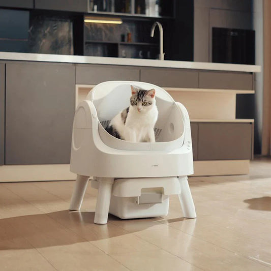 Autoscooper Open-Top Odorless Cat Litter Box
