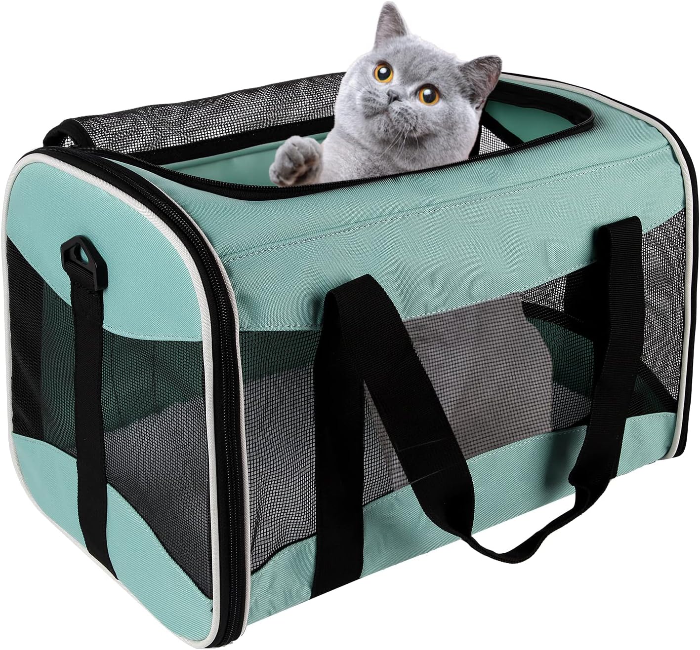 Soft-Sided Collapsible Cat Dog Carrier